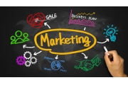Tìm hiểu về ngành Marketing