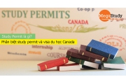 Study Permit là gì? Phân biệt Study Permit và Visa du học Canada