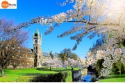 Du học New Zealand: Trường Đại học Otago