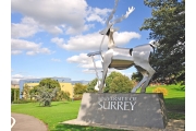 ĐH Surrey: Top 20 trường đại học tốt nhất Anh Quốc