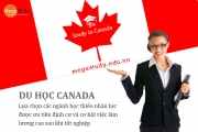 Du học Canada với các ngành nghề có cơ hội định cư cao