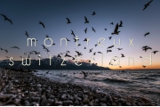 Thành phố Montreux, Thụy Sĩ - một giấc mơ có thực