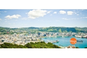10 điều để yêu về thành phố Wellington, New Zealand