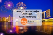 Du học trải nghiệm Tết 2017 tại Singapore – Đón năm mới rực rỡ trên Đảo quốc Sư tử!