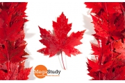 Du học Canada diện visa ưu tiên: 45 trường biết chọn trường nào?