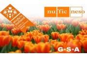 Học bổng du học Hà Lan 2018 Orange Tulip cho bậc cử nhân và thạc sĩ