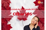Lộ trình nào cho du học sinh Canada: CES hay SDS?