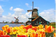 Du học Hà Lan và những điều bạn chưa biết