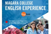 Trại hè tiếng Anh Niagara College, Canada 2019