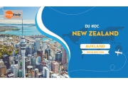 Du học New Zealand: các trường học viện chi phí rẻ, chất lượng tốt tại Auckland