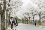 Du học Hàn Quốc Đại học Myongji: Ngôi trường toàn "sao Kpop"