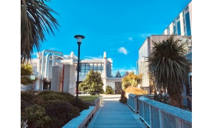 Tổng hợp học bổng bậc dự bị đại học tại New Zealand, giá trị lên đến NZ$7,500