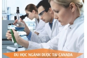 Du học ngành dược tại Canada mở ra cơ hội định cư lớn cho du học sinh