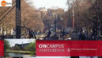 Oncampus Amsterdam – Chương trình dự bị đại học hàng đầu tại Hà Lan 2025