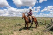 Du học ngành Dược tại Mỹ: Lựa chọn tiết kiệm & chất lượng tại University of Wyoming